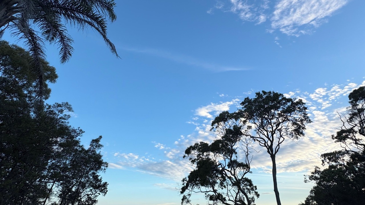 Photo of Others in Lake Munmorah