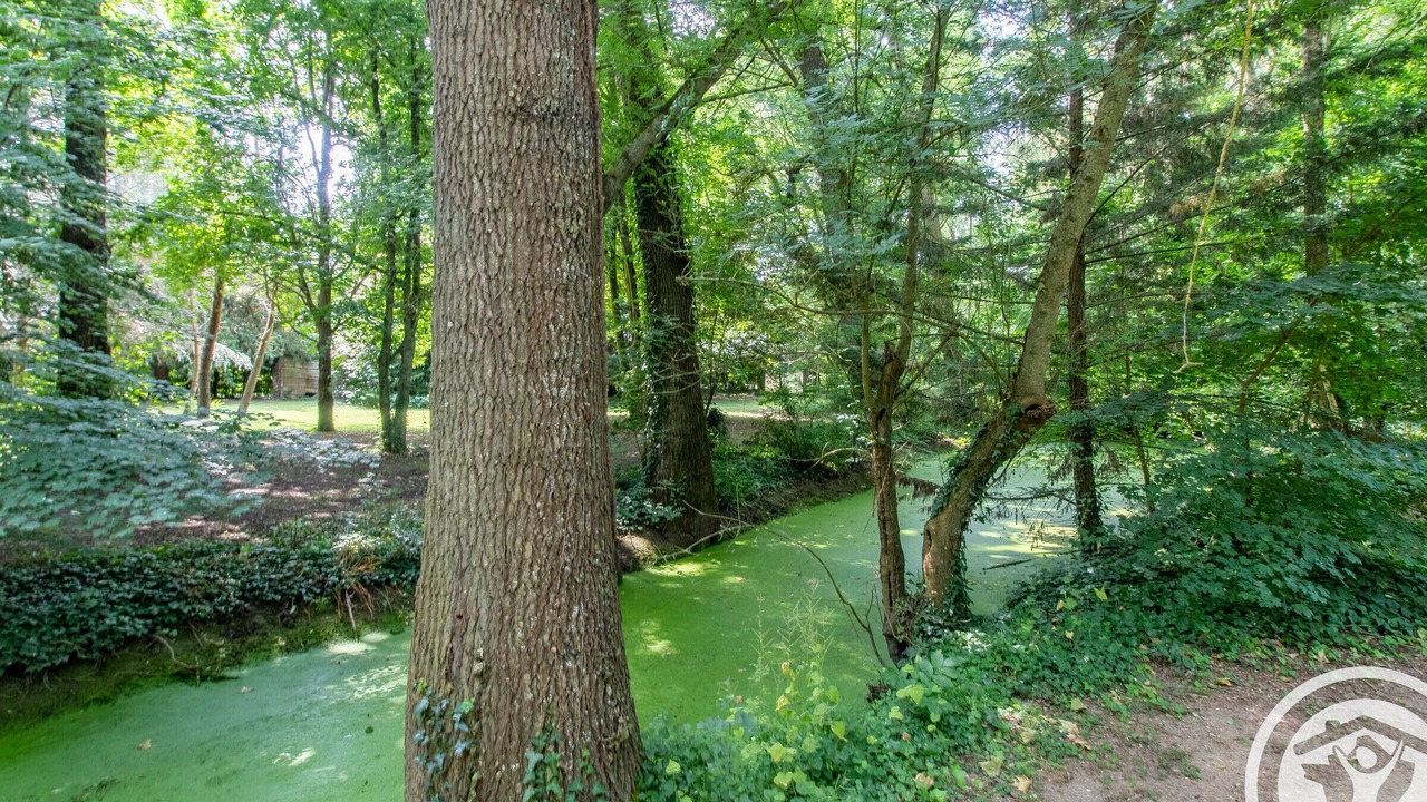 Photo of Outdoor in La Menitre