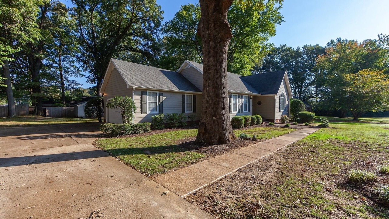 Photo of Outdoor in Jackson