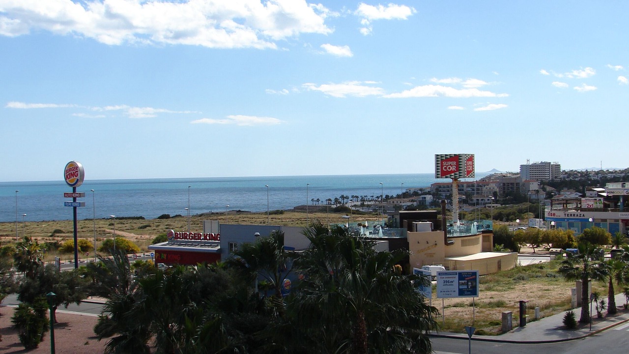 Photo of Others in Flamenca Beach