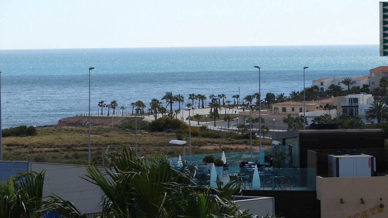 Photo of Others in Flamenca Beach