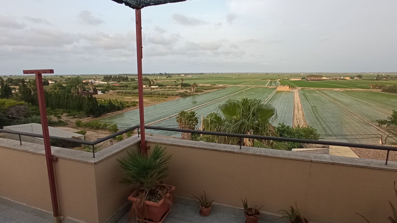 Photo of Outdoor in Camarles