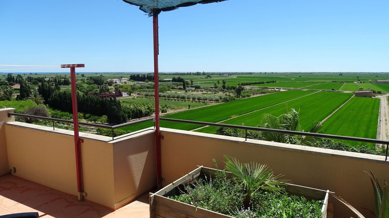 Photo of Outdoor in Camarles
