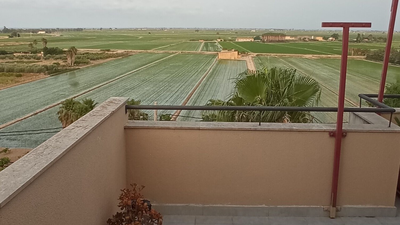 Photo of Outdoor in Camarles