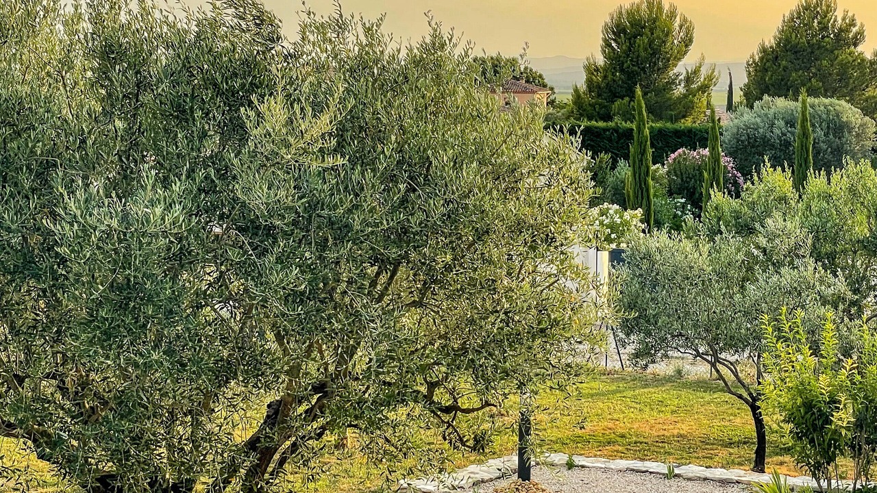 Photo of Outdoor in Seguret