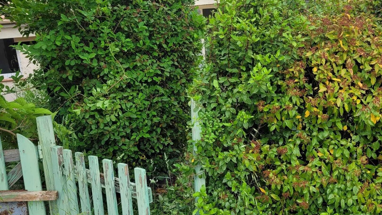 Photo of Outdoor in Saint-Michel-l'Observatoire
