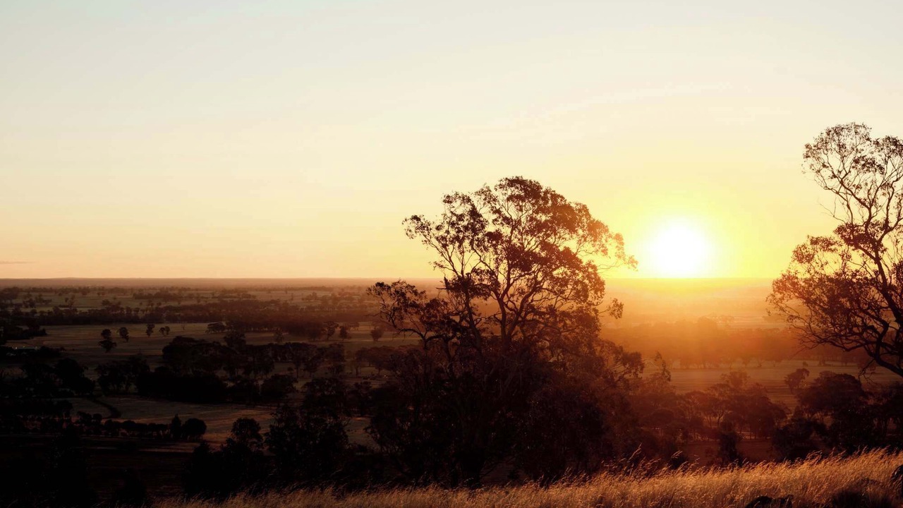 Photo of Others in Toolleen