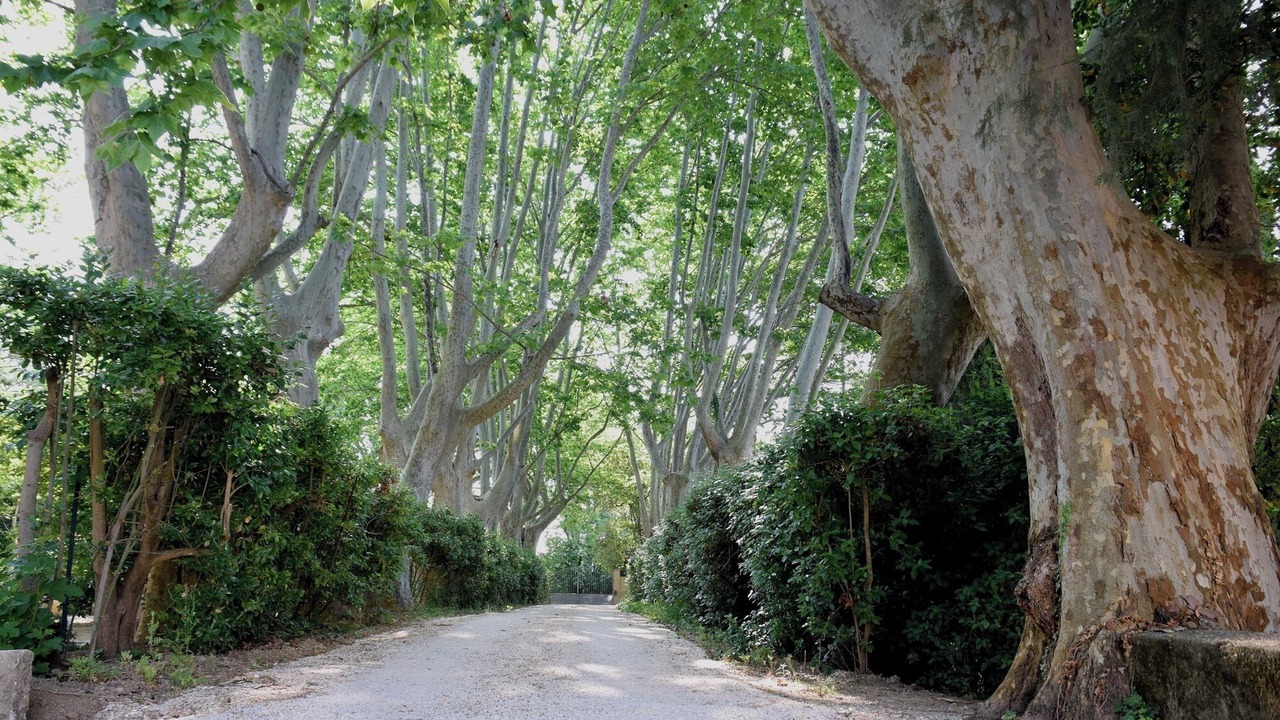 Photo of Outdoor in Narbonne