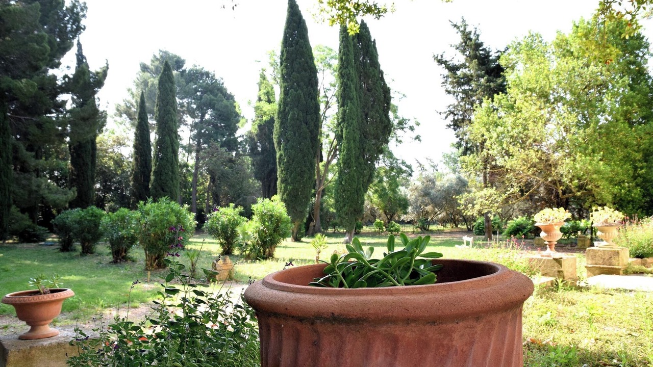 Photo of Outdoor in Narbonne