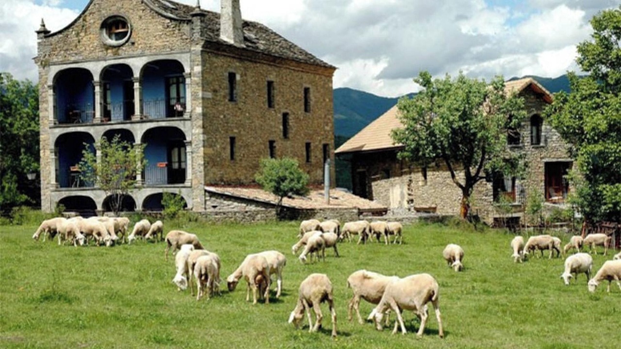 Photo of Others in Albella