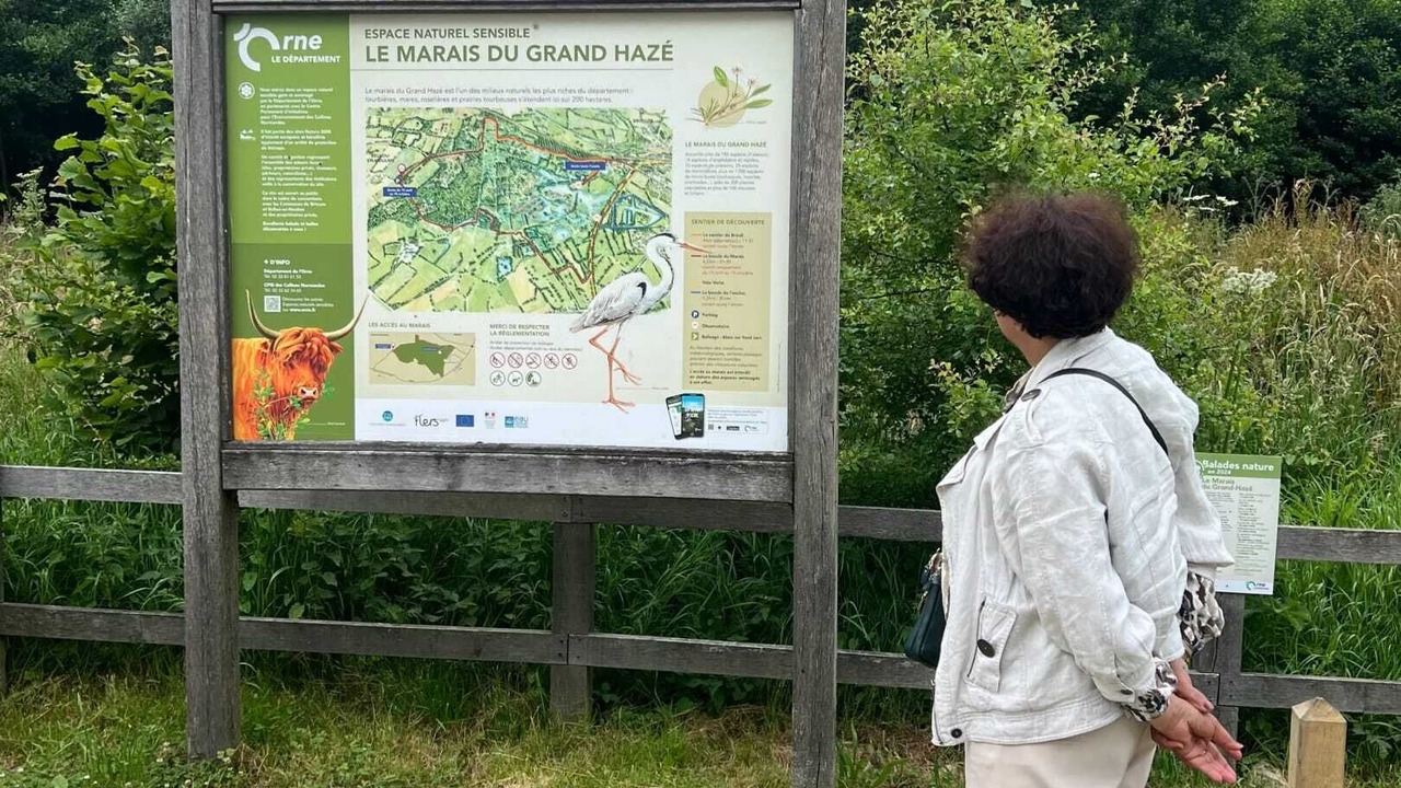 Photo of Others in La Ferriere-aux-Etangs