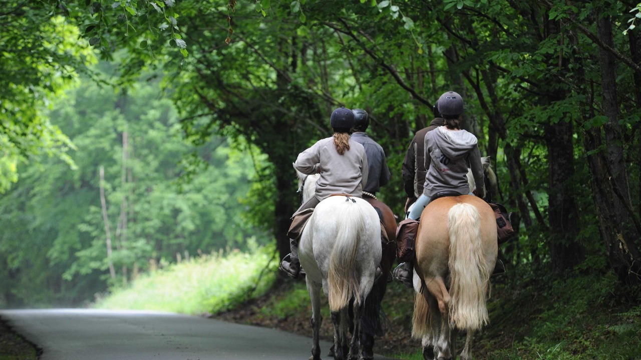 Photo of Others in La Ferriere-aux-Etangs