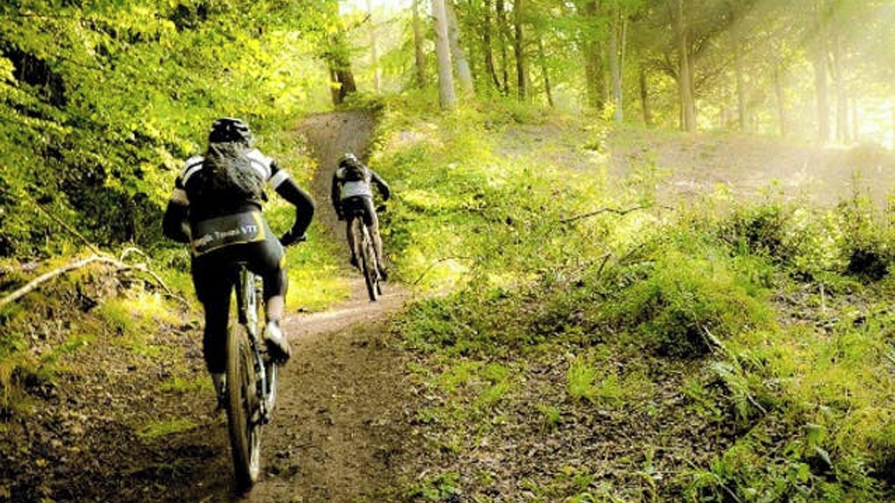 Photo of Others in La Ferriere-aux-Etangs