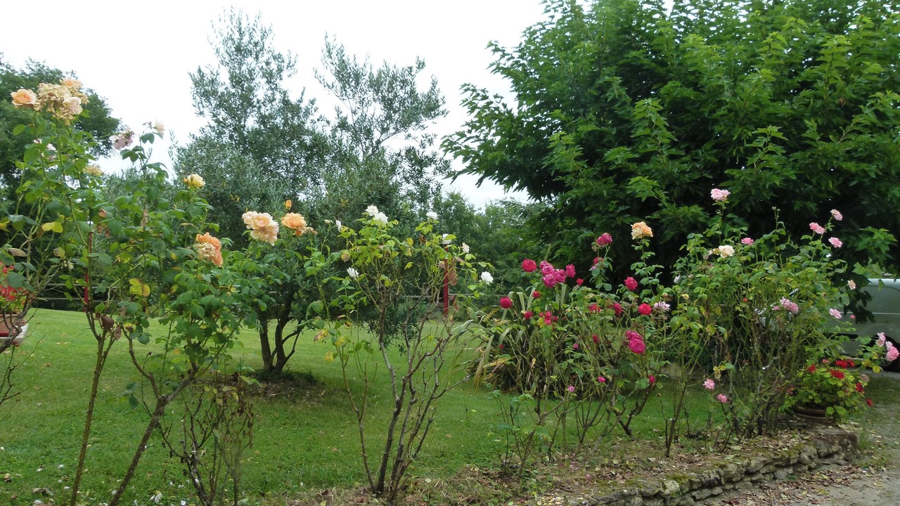 Photo of Outdoor in Ornezan