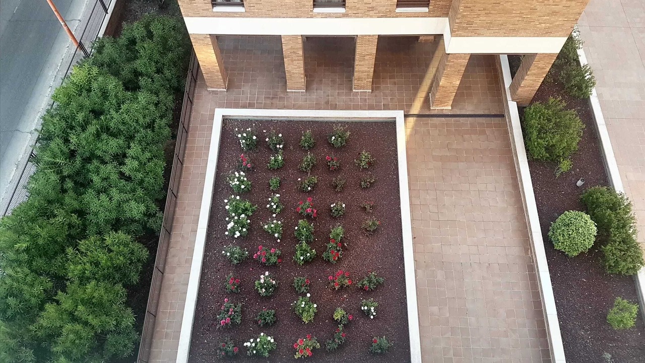 Photo of Outdoor in Cuenca