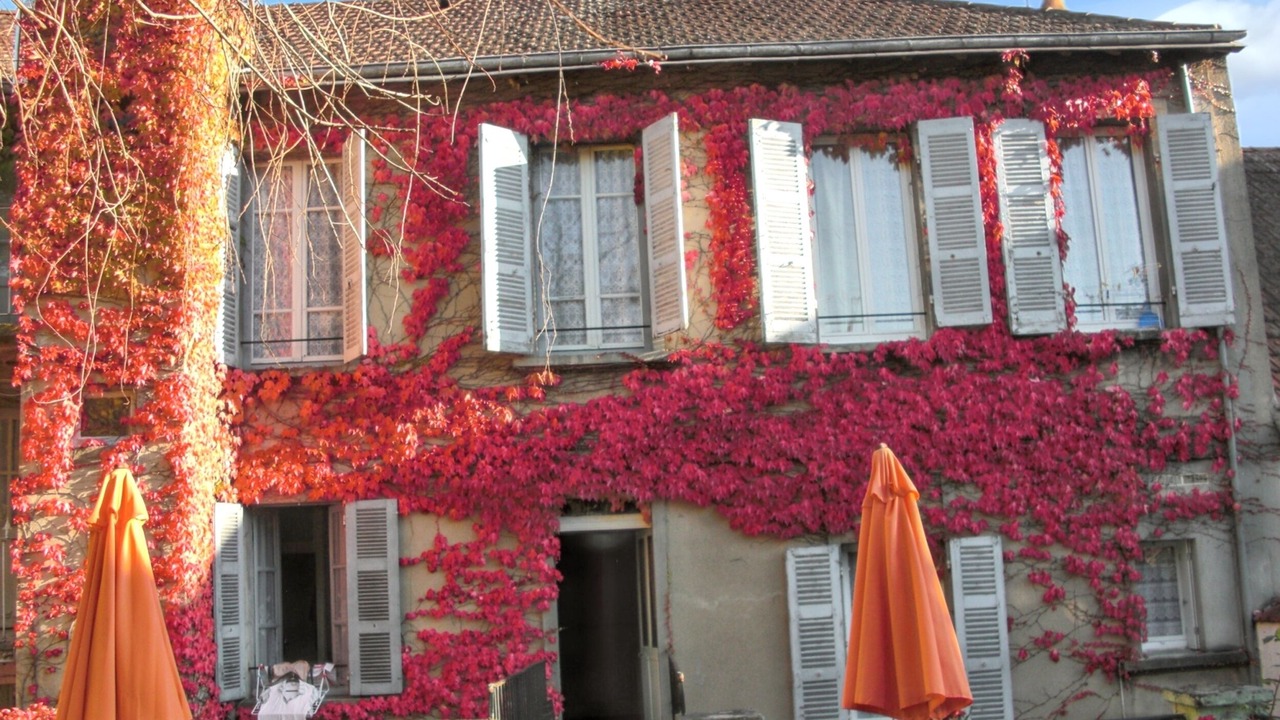 Photo of Others in Neris-les-Bains