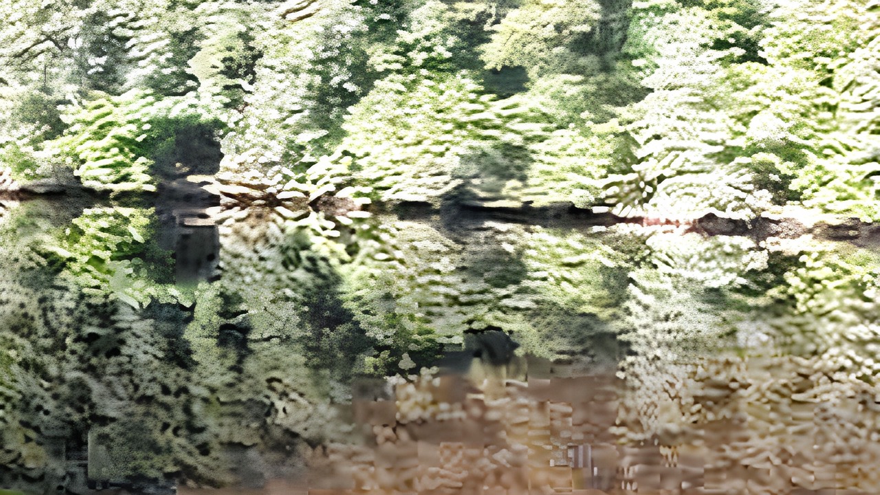 Photo of Others in Neris-les-Bains