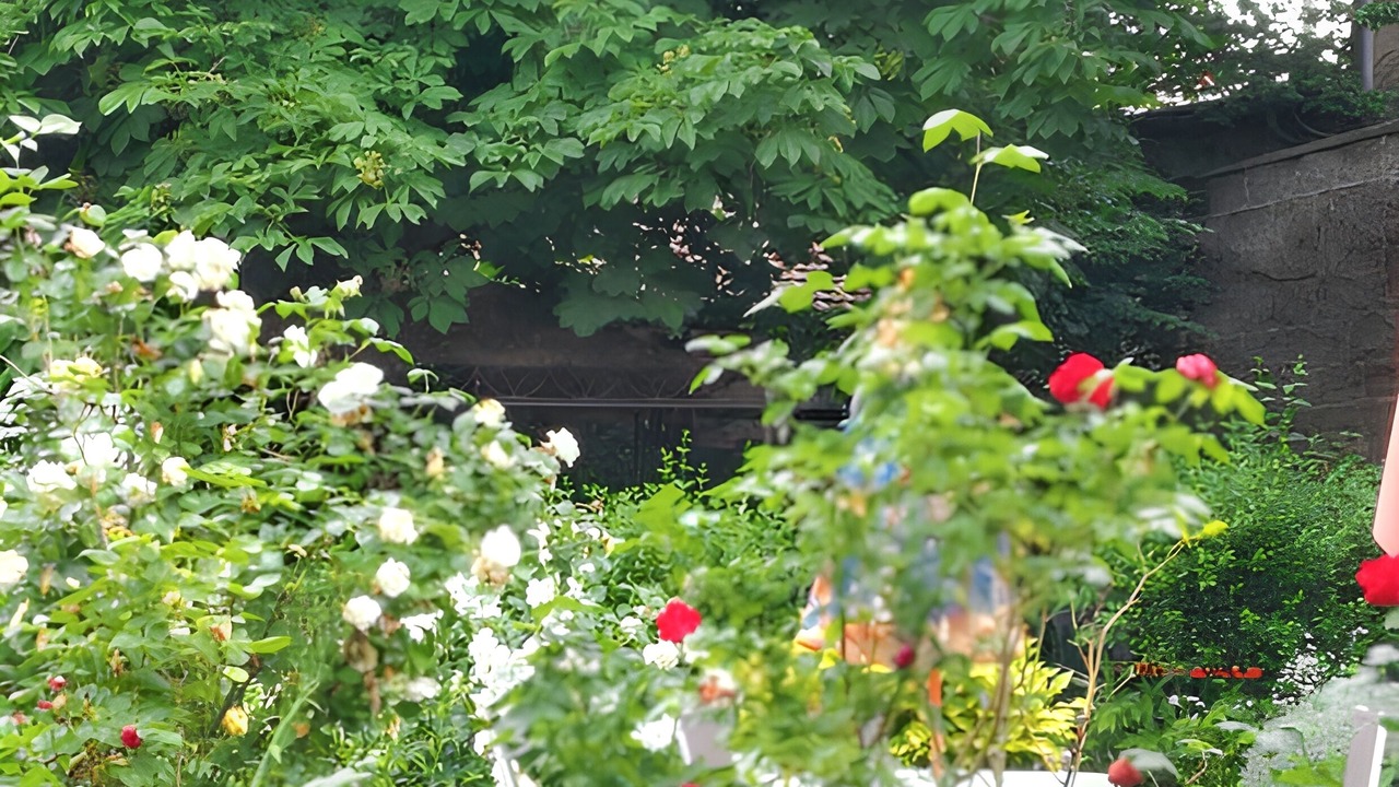 Photo of Outdoor in Neris-les-Bains