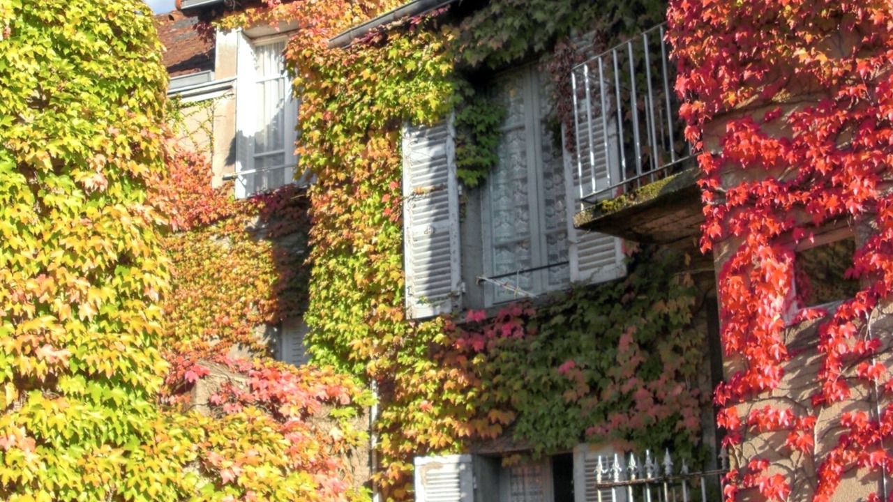 Photo of Others in Neris-les-Bains