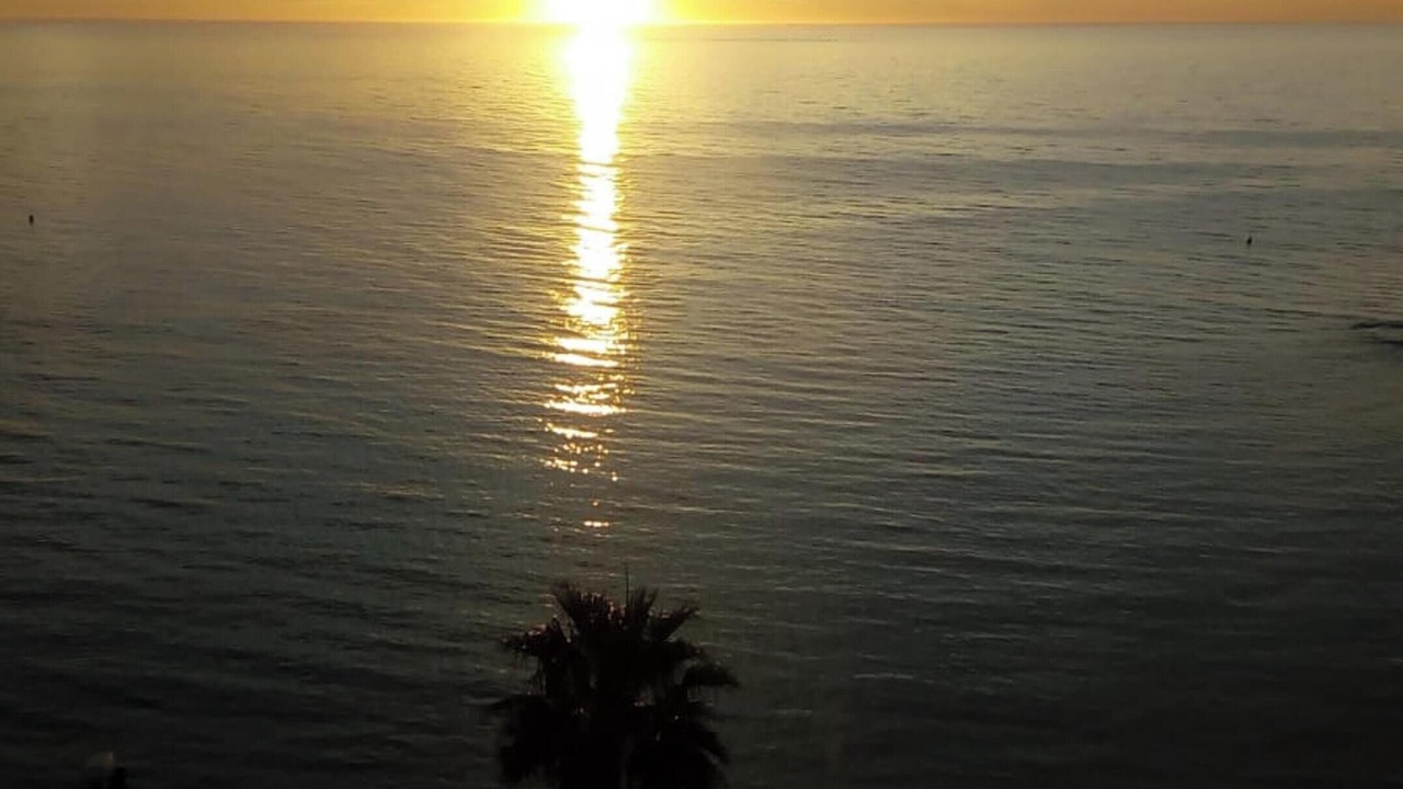 Photo of Others in Calpe