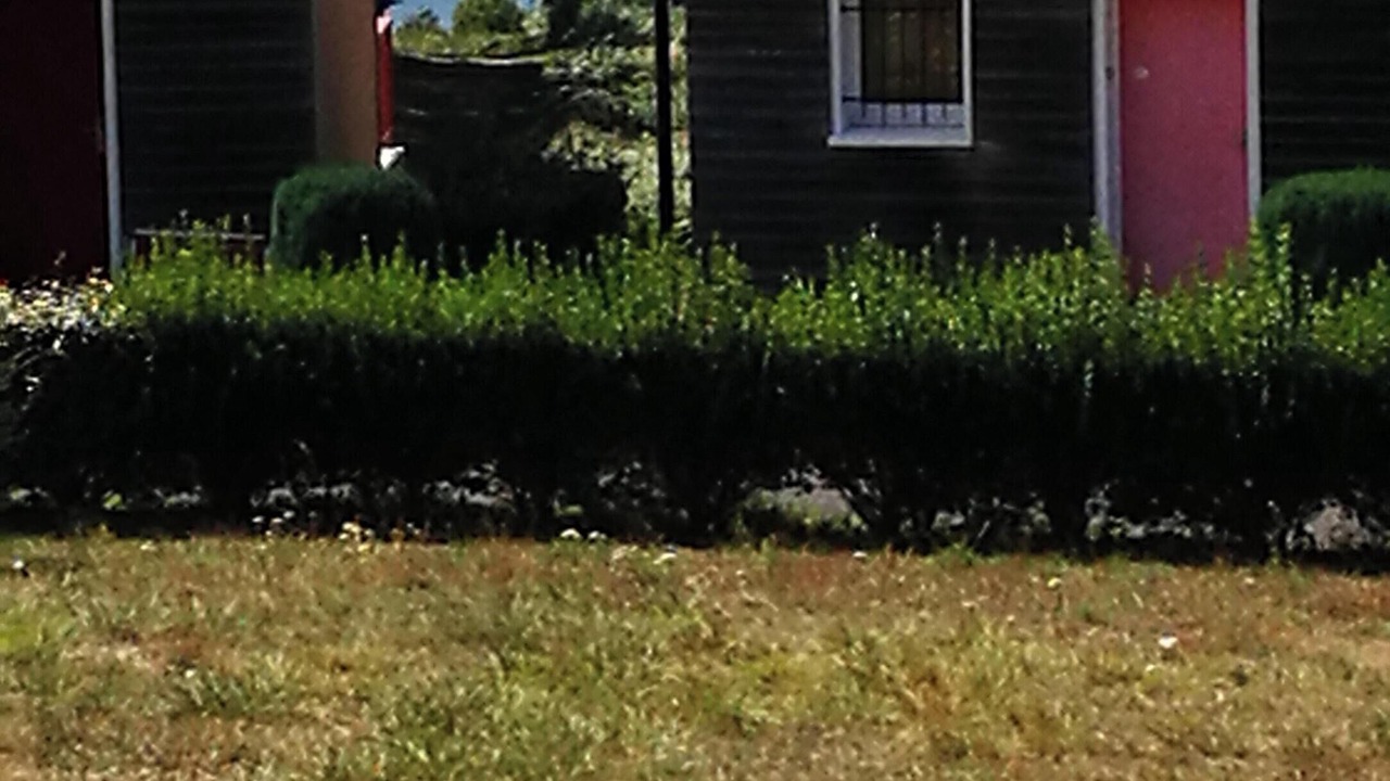 Photo of Outdoor in La Salvetat-sur-Agout