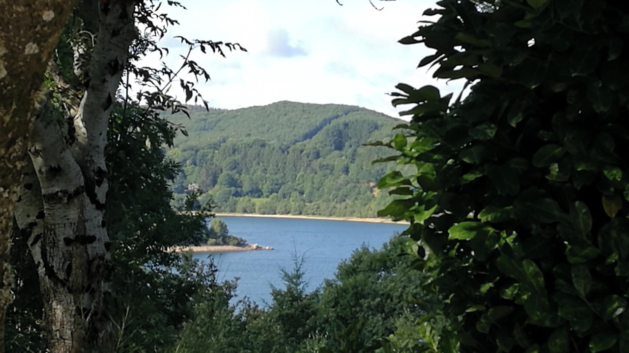 Photo of Outdoor in La Salvetat-sur-Agout