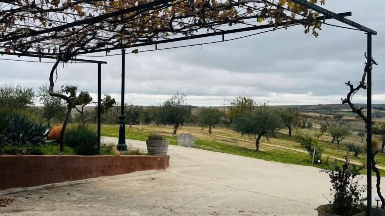 Photo of Outdoor in Burujon