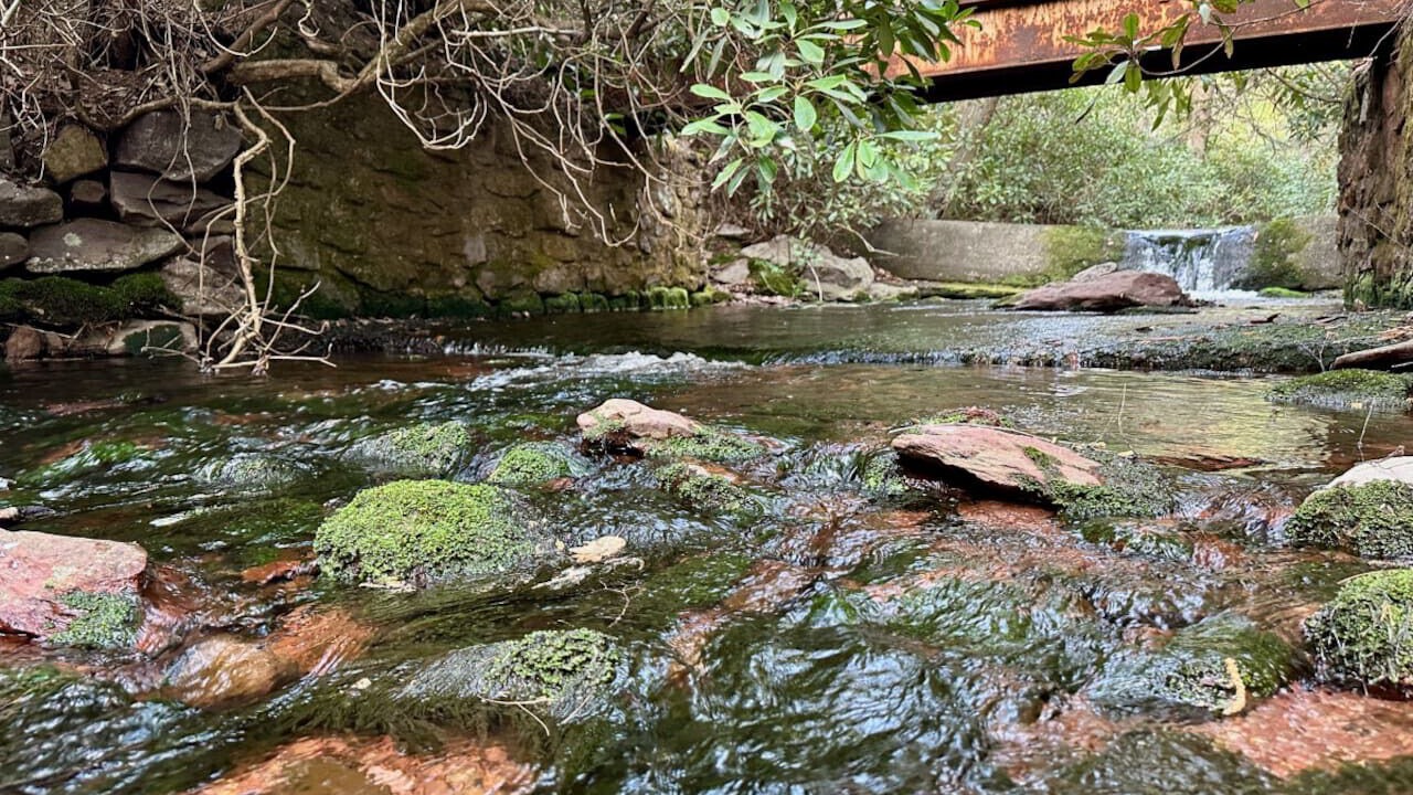 Photo of Others in Briar Crest Woods