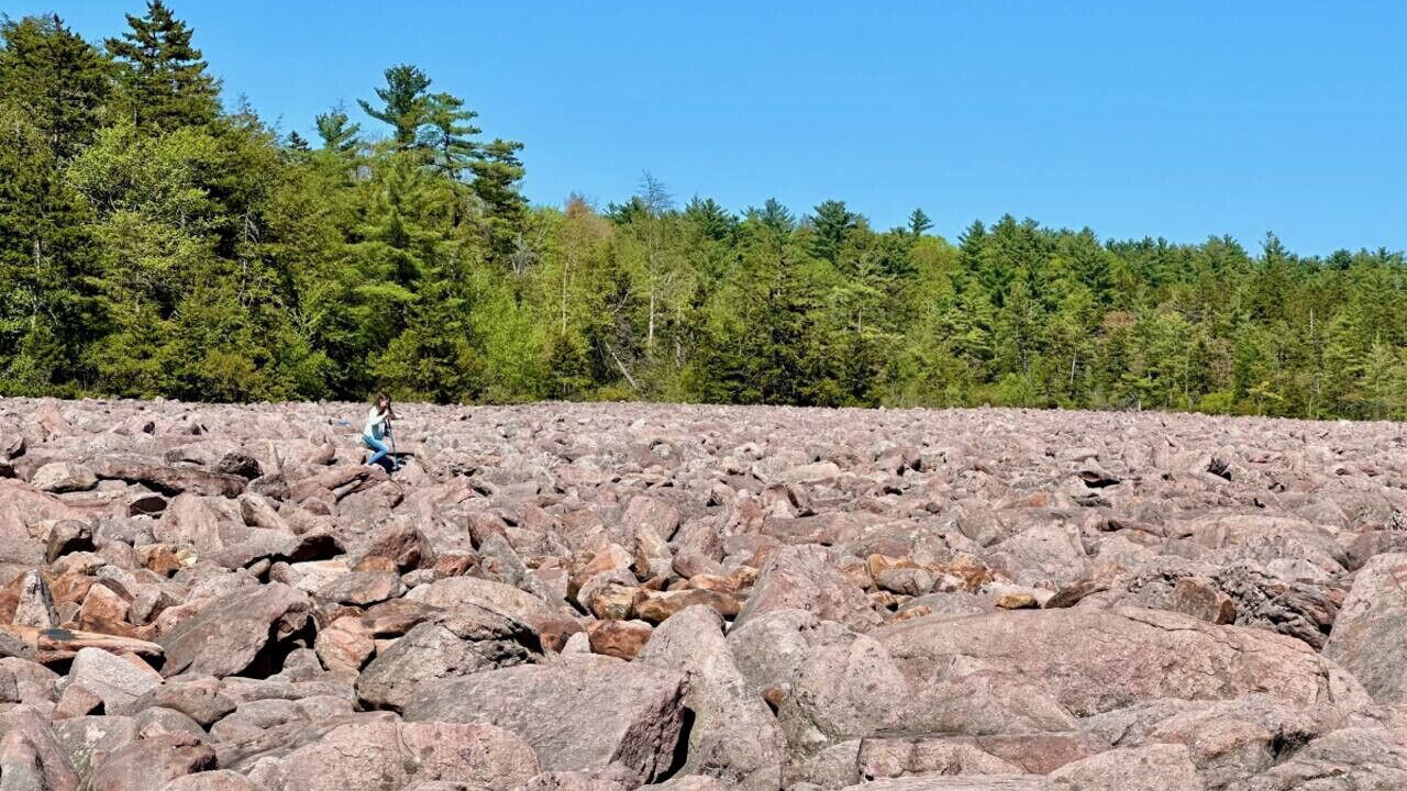 Photo of Others in Briar Crest Woods