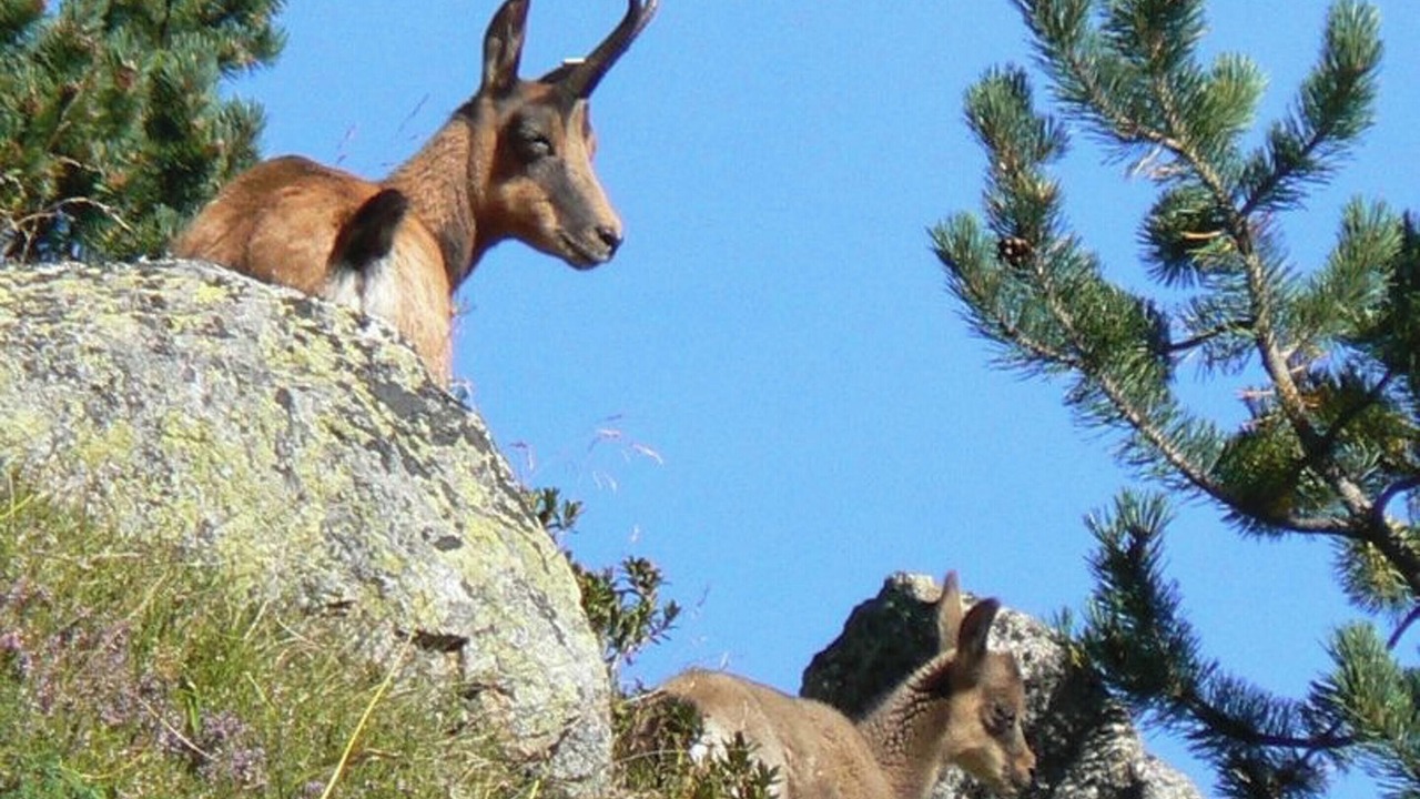 Photo of Others in Orlu