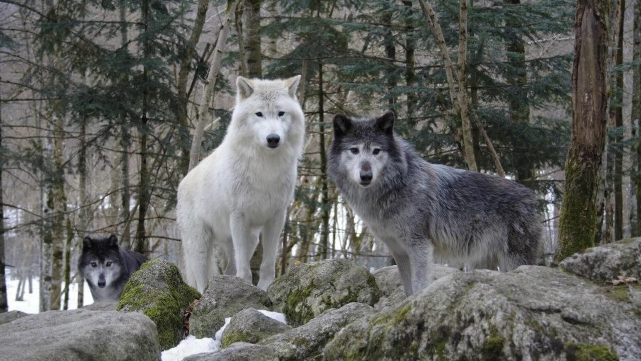 Photo of Others in Orlu