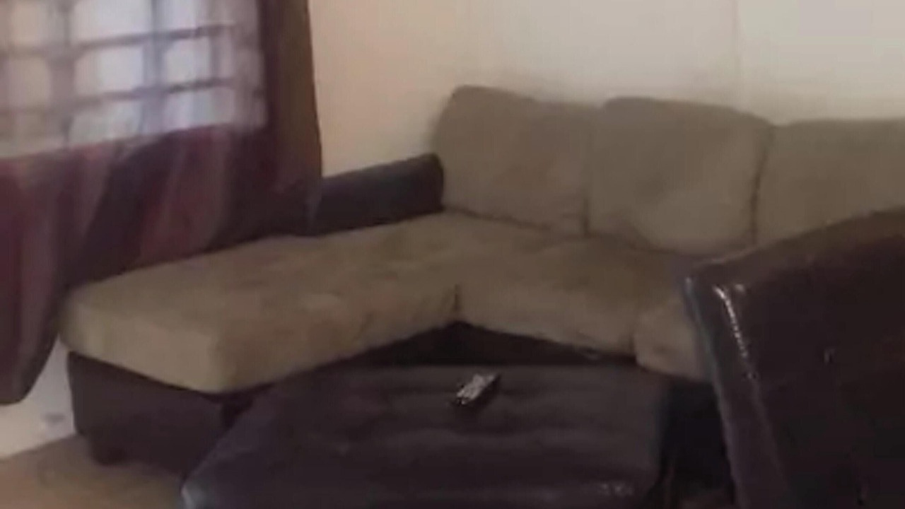 Photo of Others in La Savane