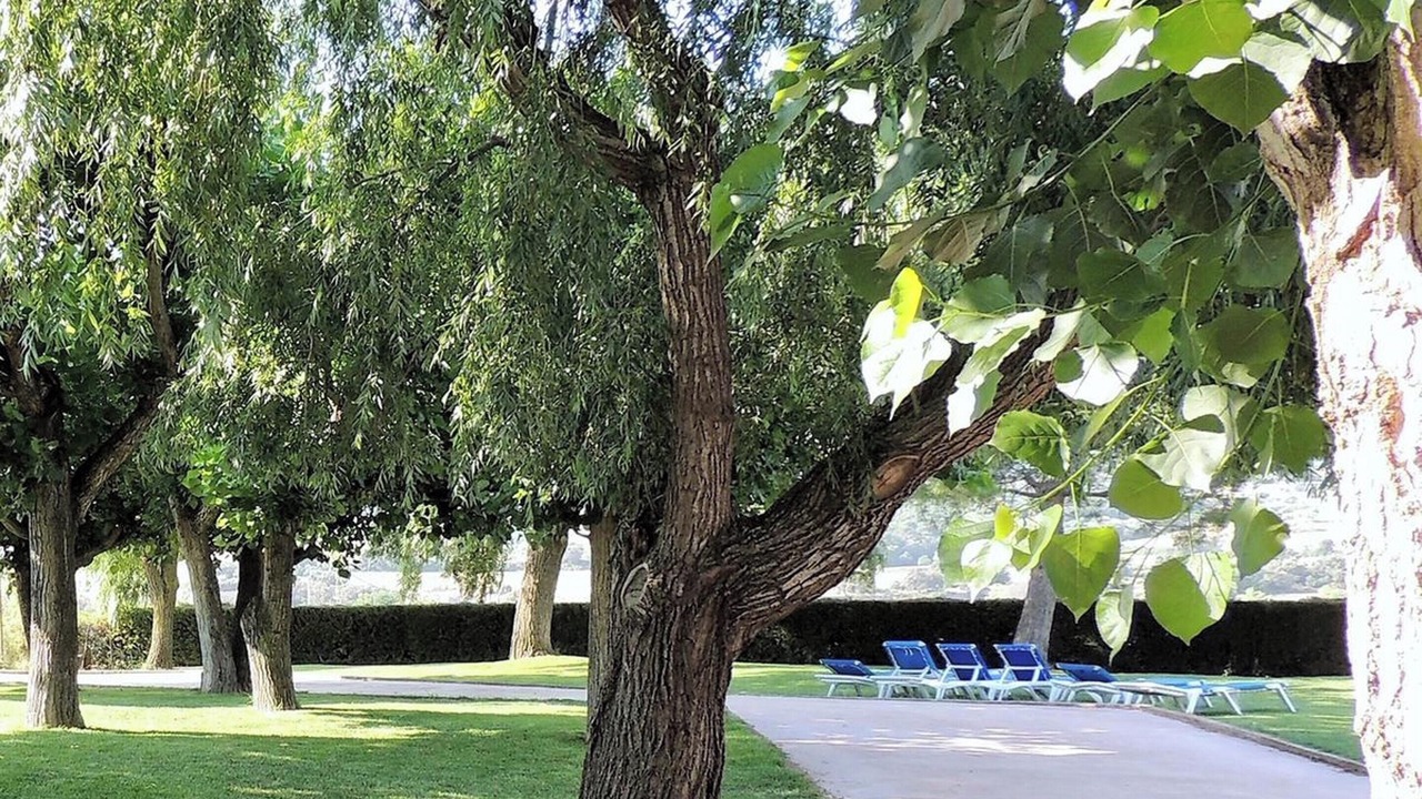 Photo of Outdoor in Cretas