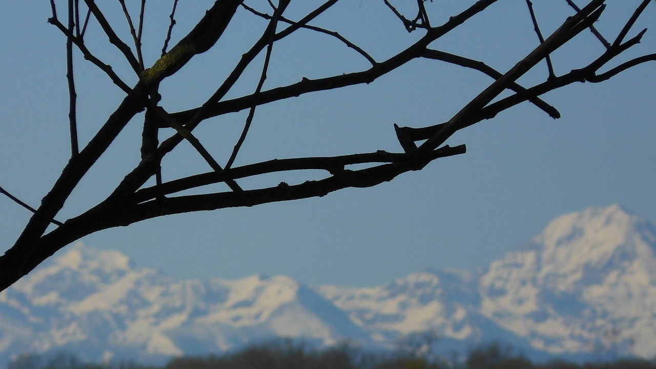 Photo of Others in Monlaur-Bernet