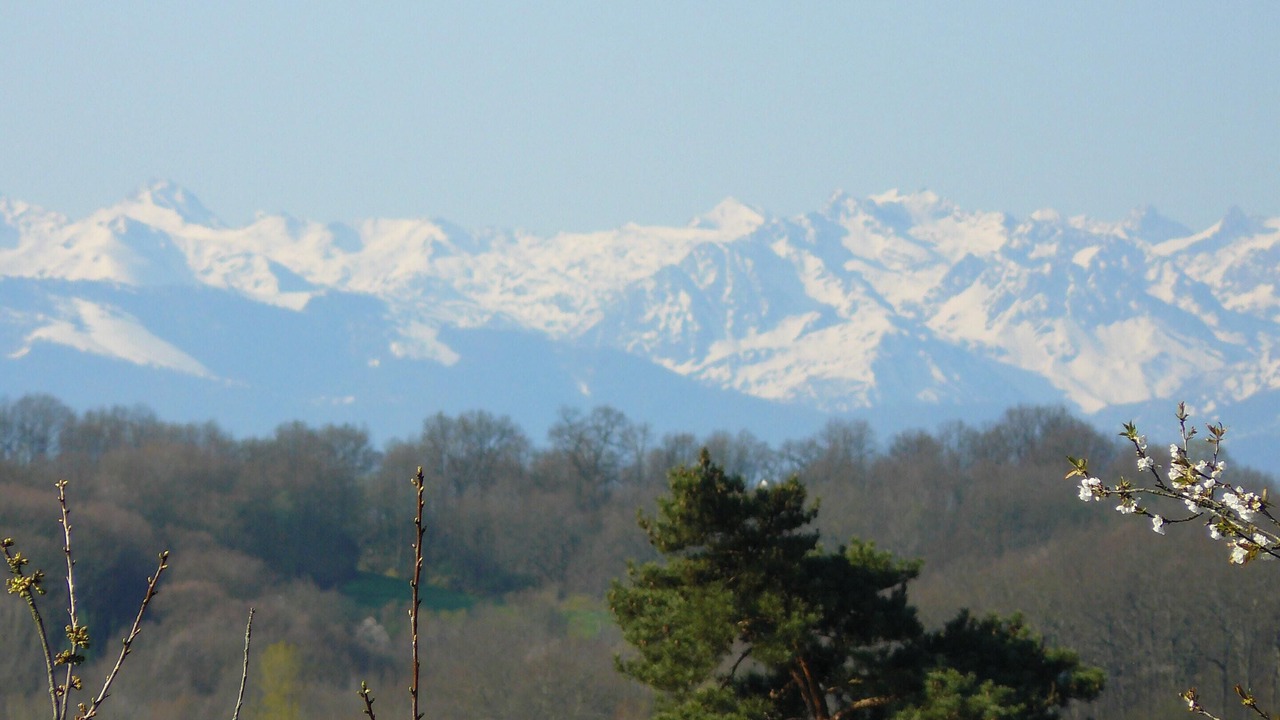 Photo of Others in Monlaur-Bernet