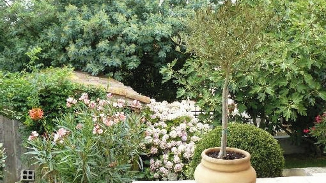 Photo of Outdoor in Monlaur-Bernet