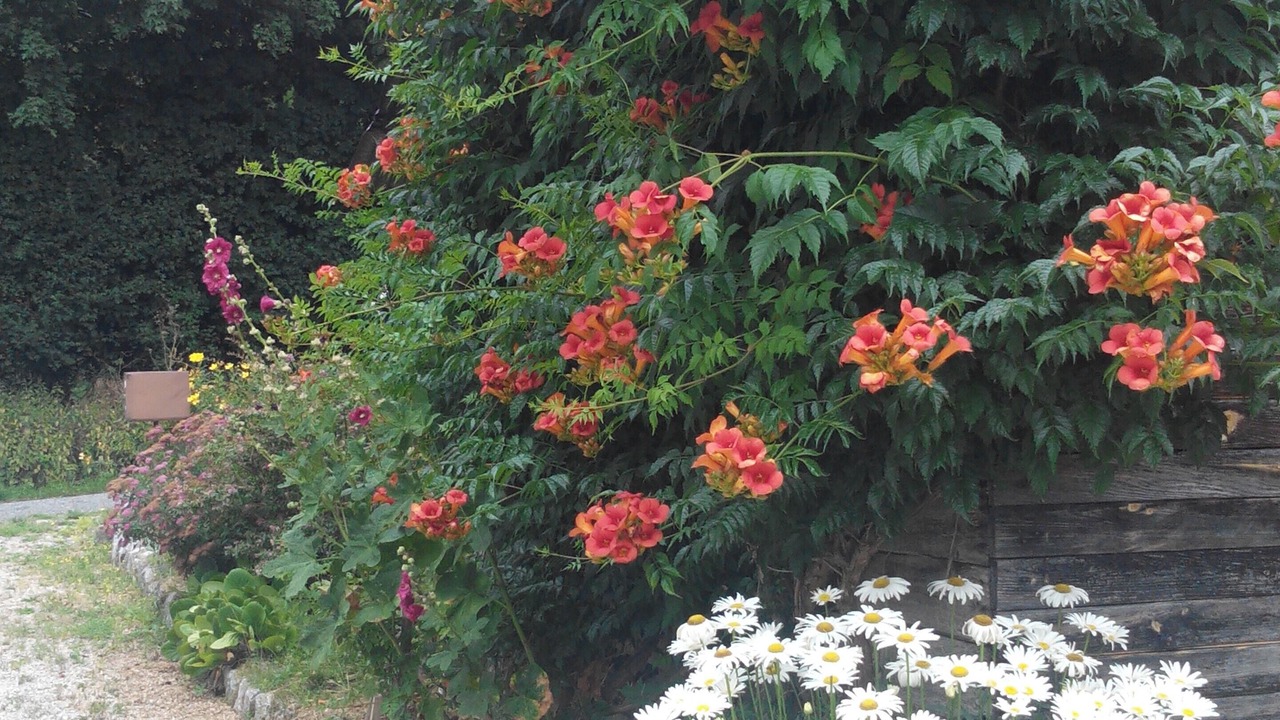 Photo of Outdoor in Monlaur-Bernet