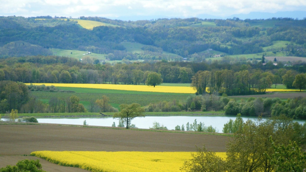 Photo of Others in Monlaur-Bernet