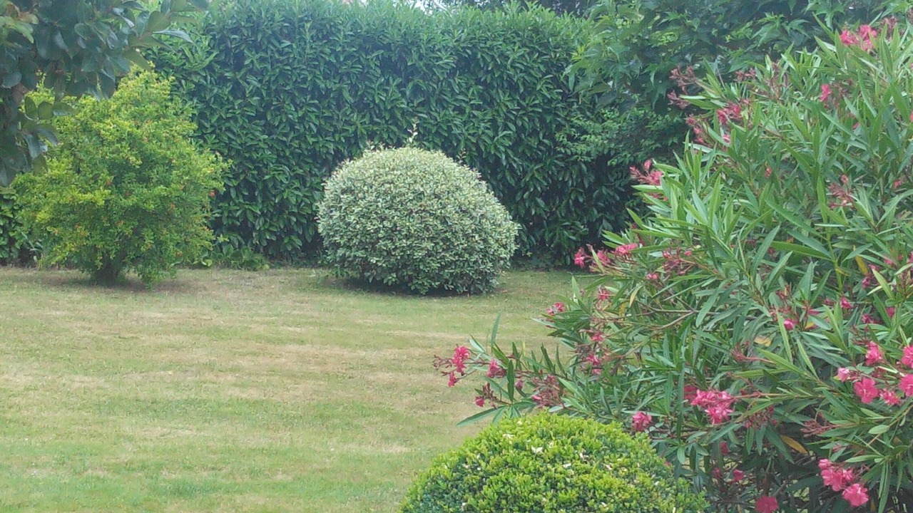 Photo of Outdoor in Monlaur-Bernet
