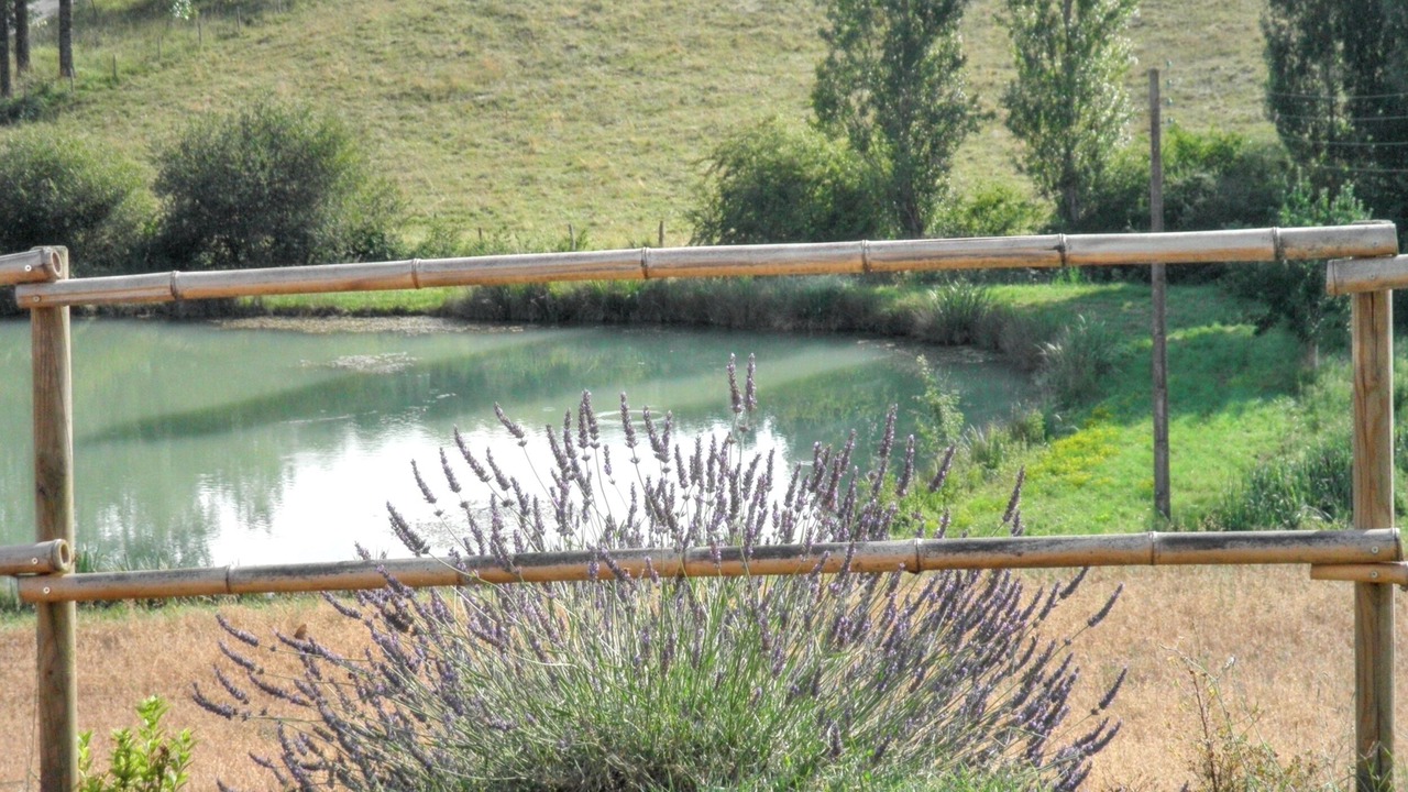 Photo of Outdoor in Molieres