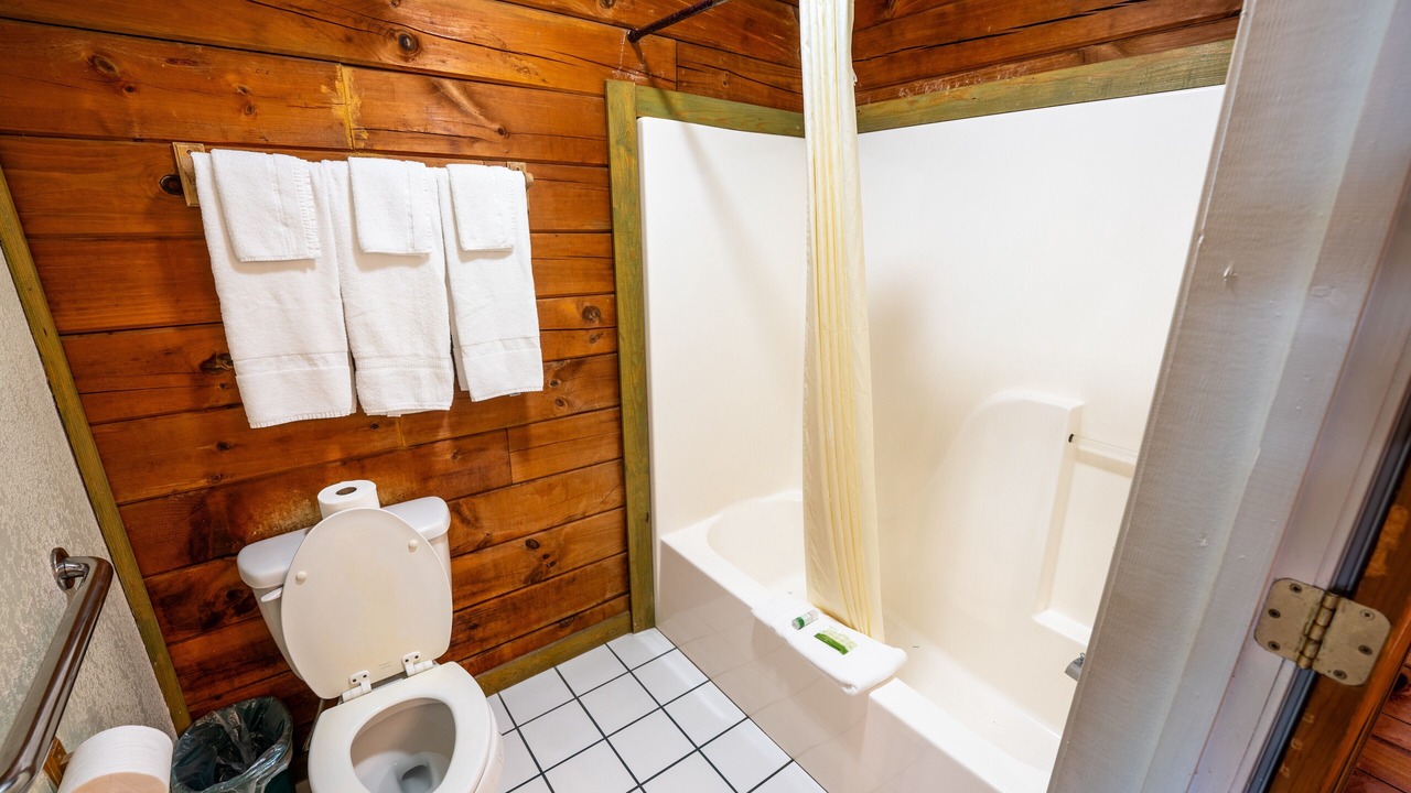 Photo of Bathroom in Buchanan