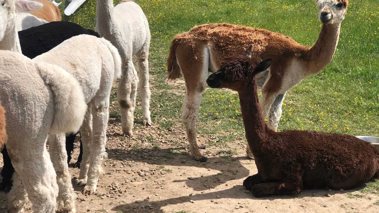 Photo of Others in Clermont-Creans