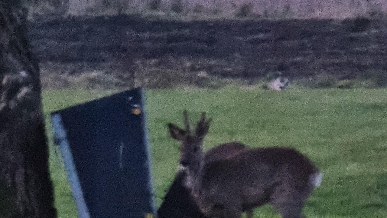 Photo of Others in Graerup