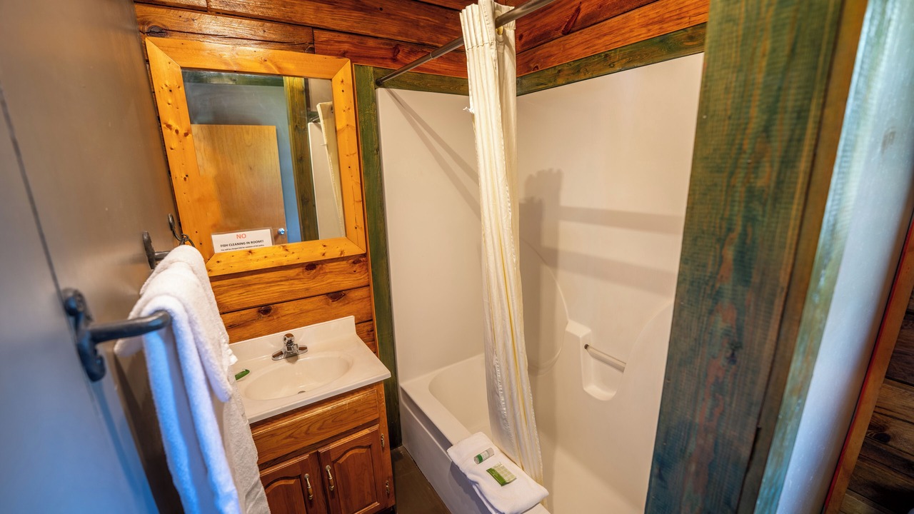 Photo of Bathroom in Buchanan