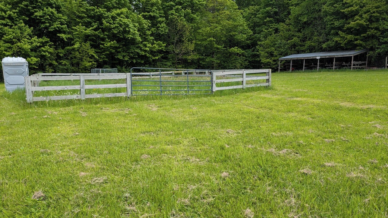 Photo of Outdoor in Town of Sempronius