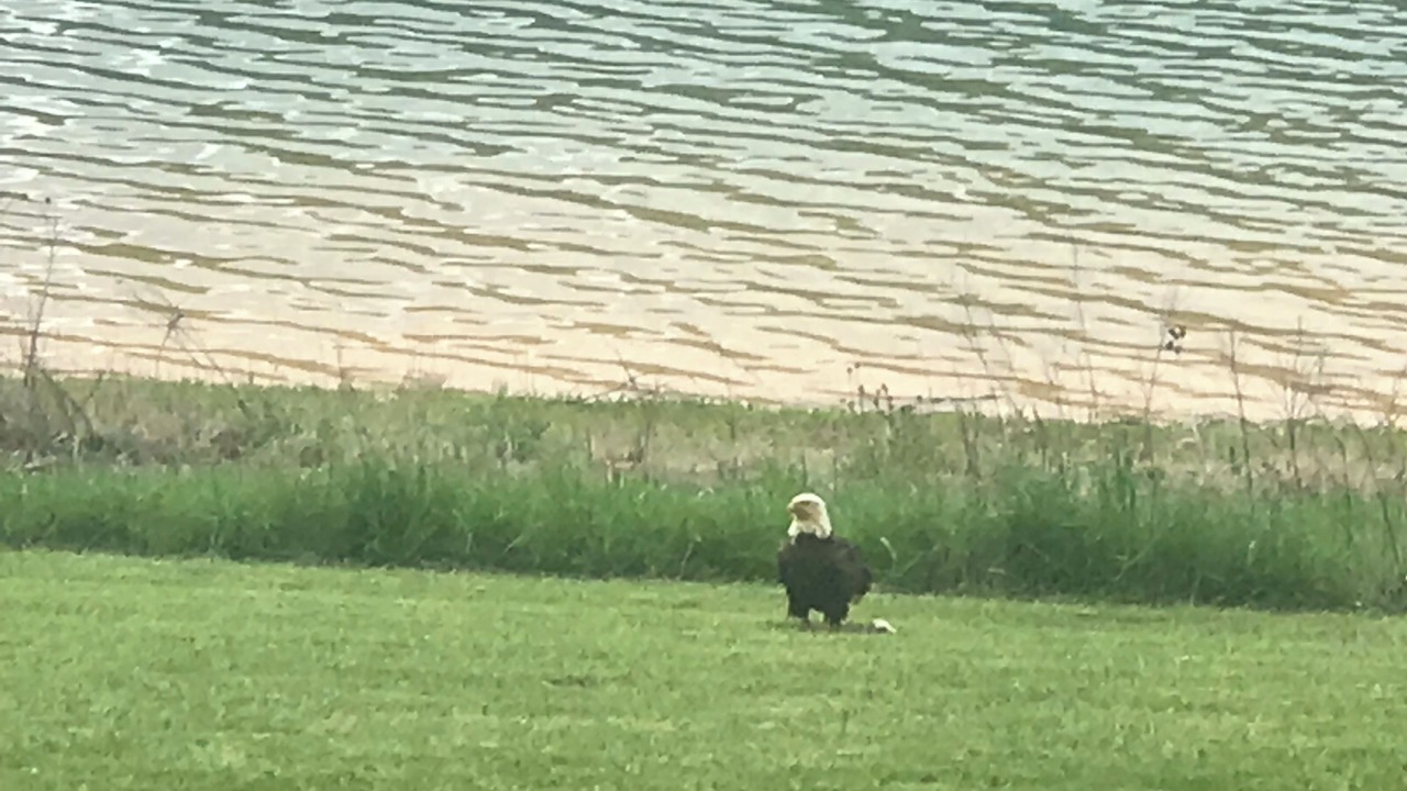 Photo of Outdoor in Jefferson City