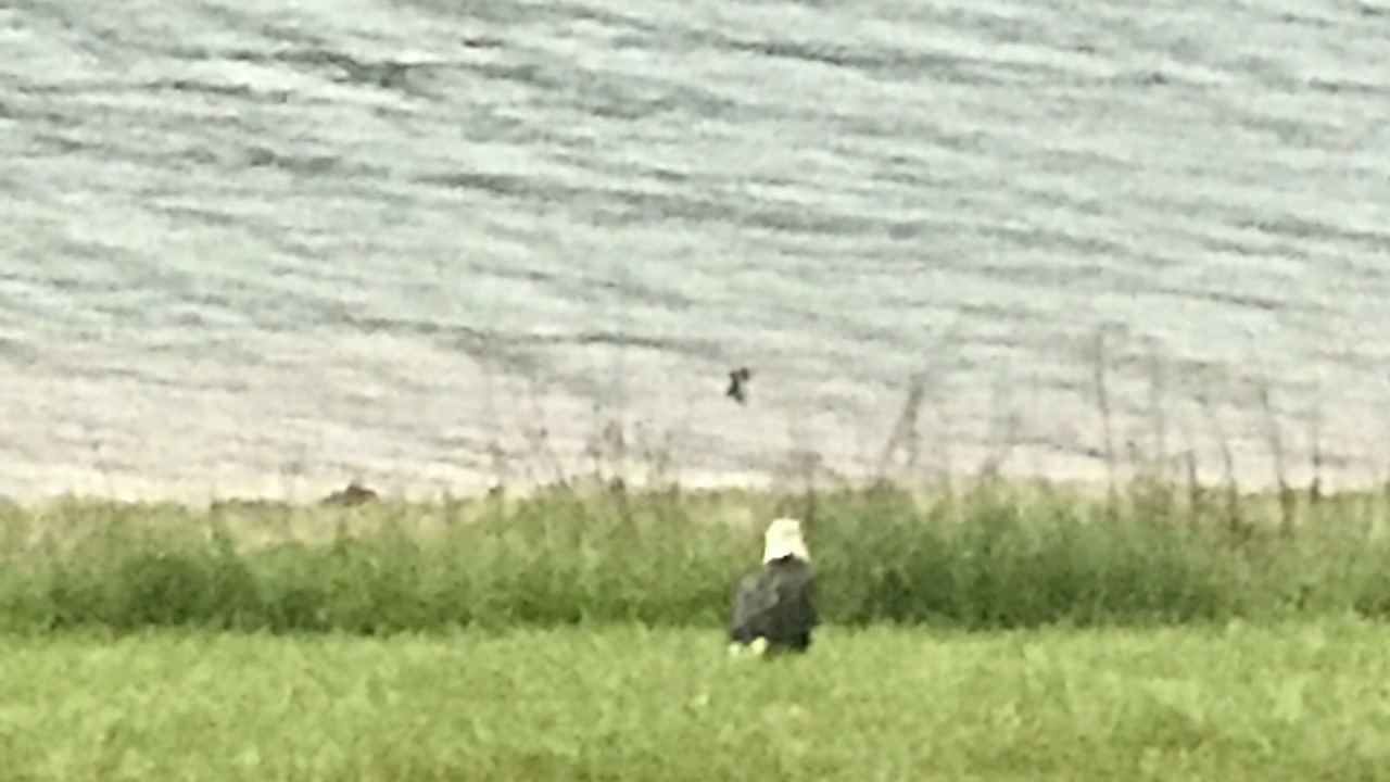 Photo of Outdoor in Jefferson City