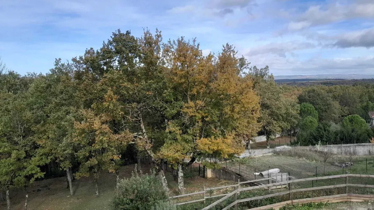 Photo of Others in Labruguiere