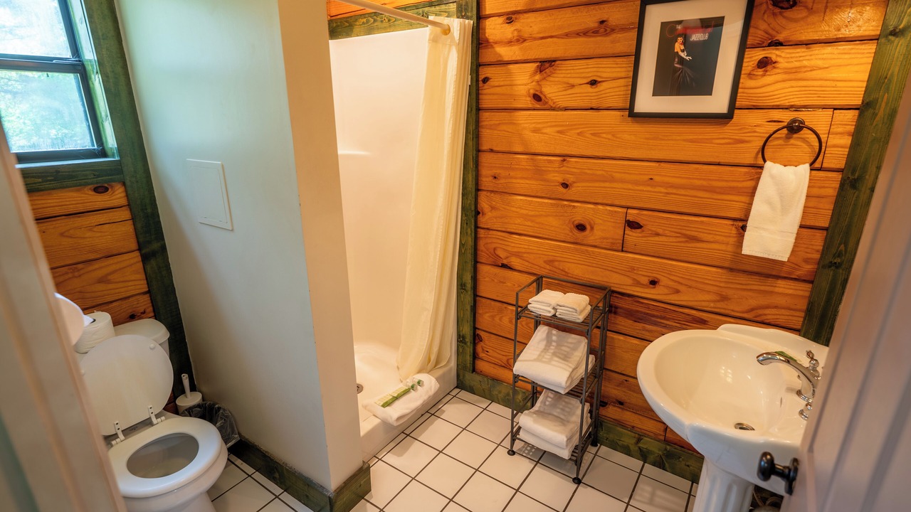 Photo of Bathroom in Buchanan