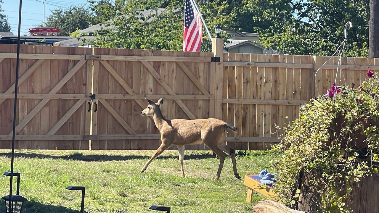 Photo of Outdoor in Port Angeles East